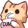 drinkcum