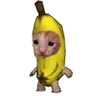 1107456435157209128