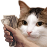 1263kiisucash