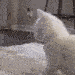 m_cattwerk