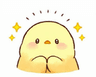B5D56C627CE54550AE56A81845CCE455