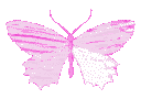 her_butterflypink