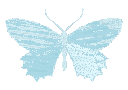 BlueButterfly