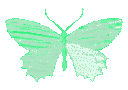 butterflygreen