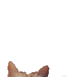 catwave
