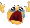 2459noooo