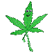 m_weedman