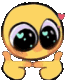 m_cuteshy