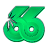 66PlamRP