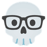NERDSKULL