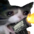 CatGun