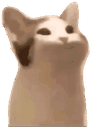 c_popcat