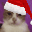 c_christmascatstare