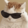 swag