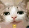 275540676_670434507420063_618663