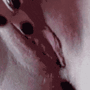 Pussy_Lil_Shiro