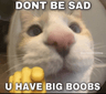 Bigboob