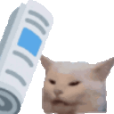 3732newspapercat