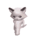 4573catdance
