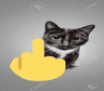 6464fuckyoucat