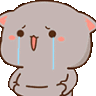 TM_Fat