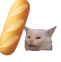 CatBread