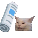 Bonkcat