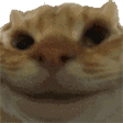 catYes