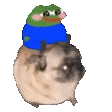 Flantic_pepe_riding