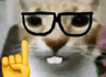Nerd