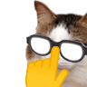 kiisu_trumpf