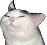hehe