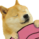 DogeSleepZzzBlanket
