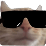 CoolShirocat