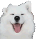 cutedog57