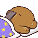 sleeptextbears