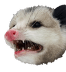 despairpossum