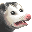 pets_Possum