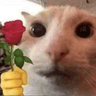 aroseforyou