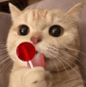 cat_lick