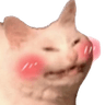 cat_blush