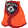 raccoon_blanket