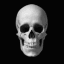 NoWay_Skull