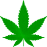 Weed