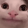 hii