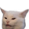 ne