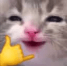 aynenkanka