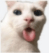 yalarim