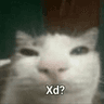 tm