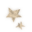 stars1